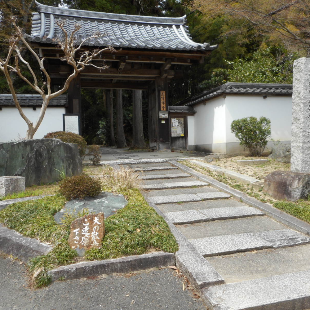 正伝寺(京都府京都市)の写真・外観