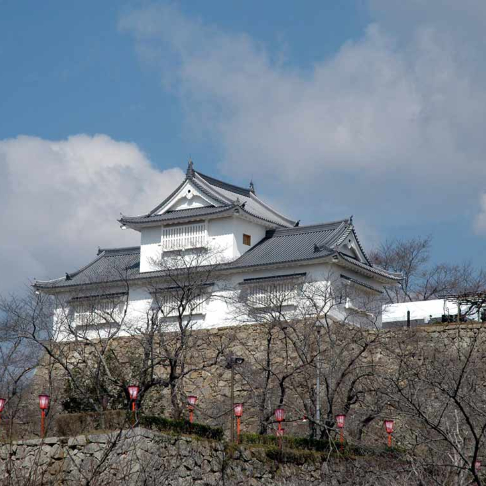 津山城跡(岡山県津山市)の写真・外観