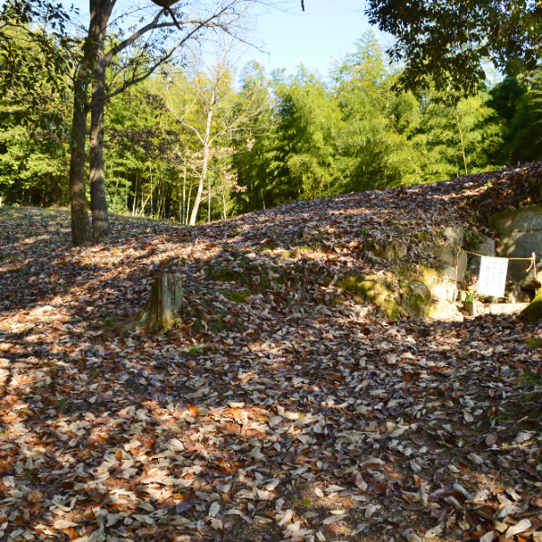 江黒古墳（群馬県明和町）の写真・外観