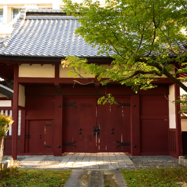 飯田城跡(長野県飯田市)の写真・外観