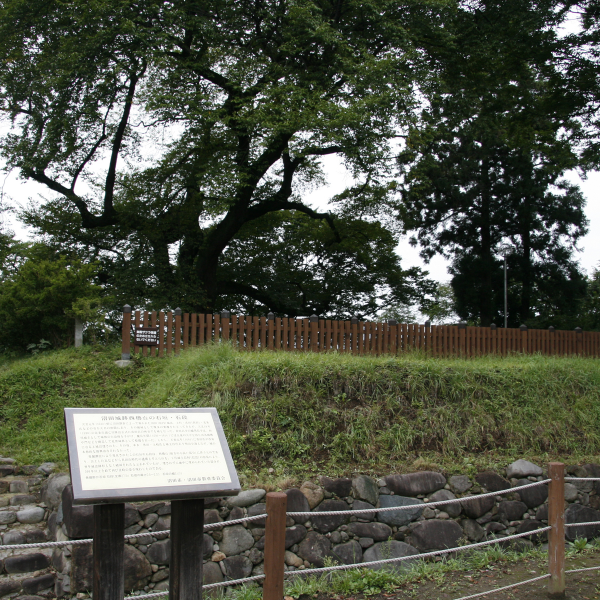 沼田城跡（群馬県沼田市）の写真・外観