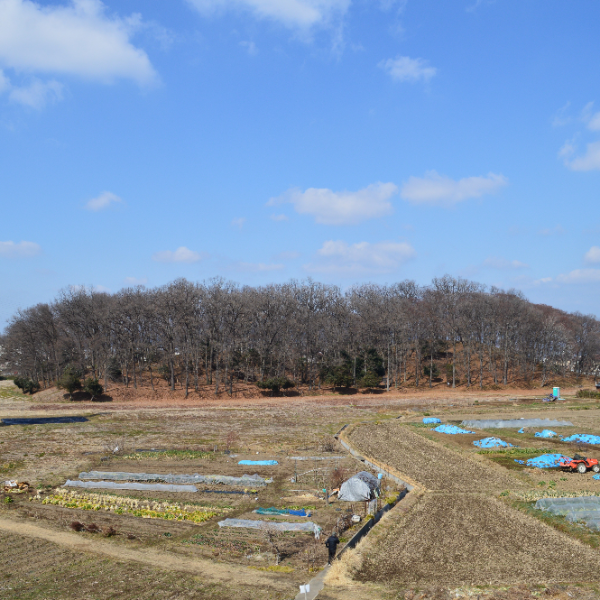 太田天神山古墳（群馬県太田市）の写真・外観