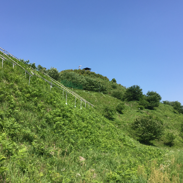 皆川城（栃木県栃木市）の写真・外観