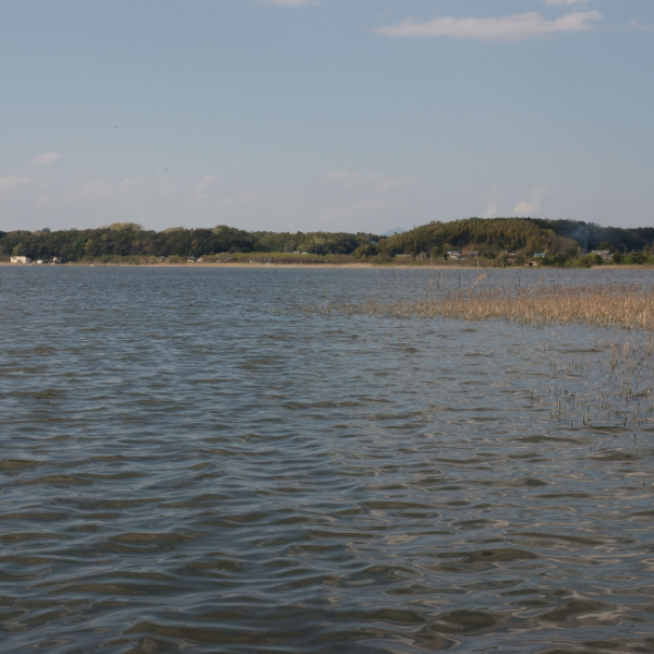 牛久城跡（千葉県市原市）の写真・外観