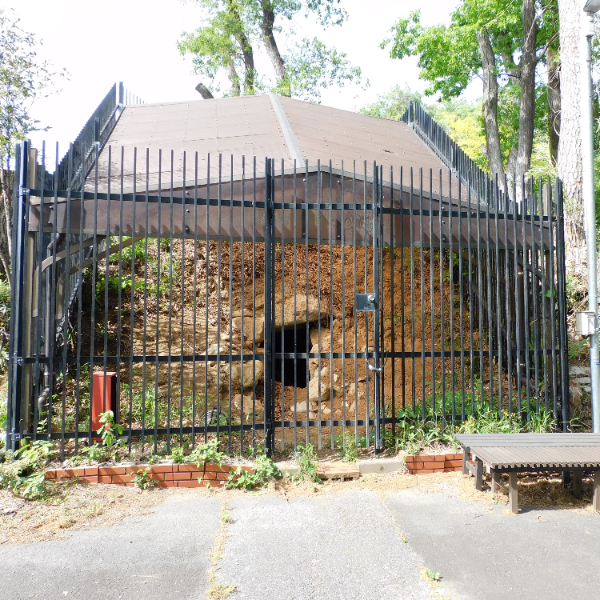 谷口山古墳（栃木県宇都宮市）の写真・外観