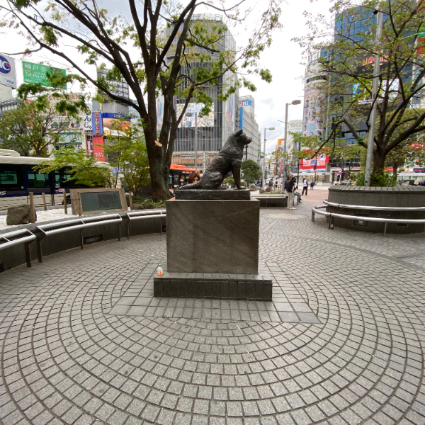 忠犬ハチ公像（東京都渋谷区）の写真・外観