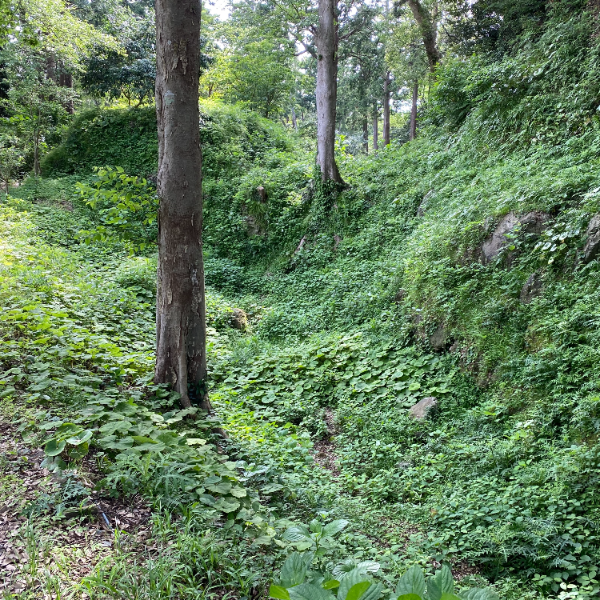 下田城（静岡県下田市）の写真・外観