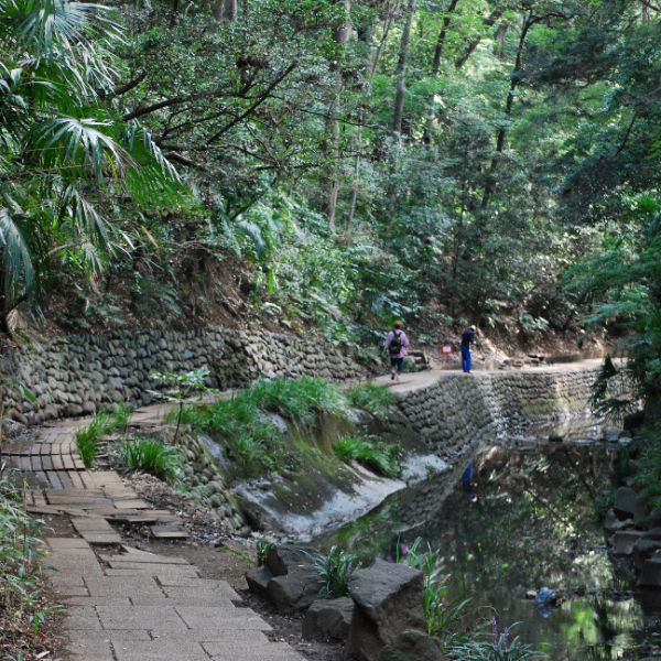 等々力渓谷（東京都世田谷区）の写真・外観