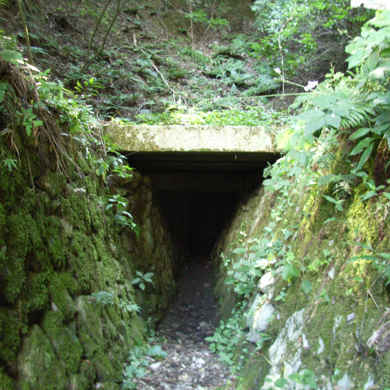 西野水道(滋賀県長浜市)の写真・外観