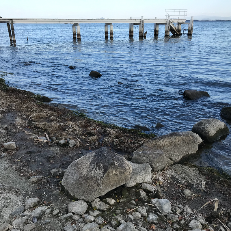 坂本城址（滋賀県大津市）の写真・外観