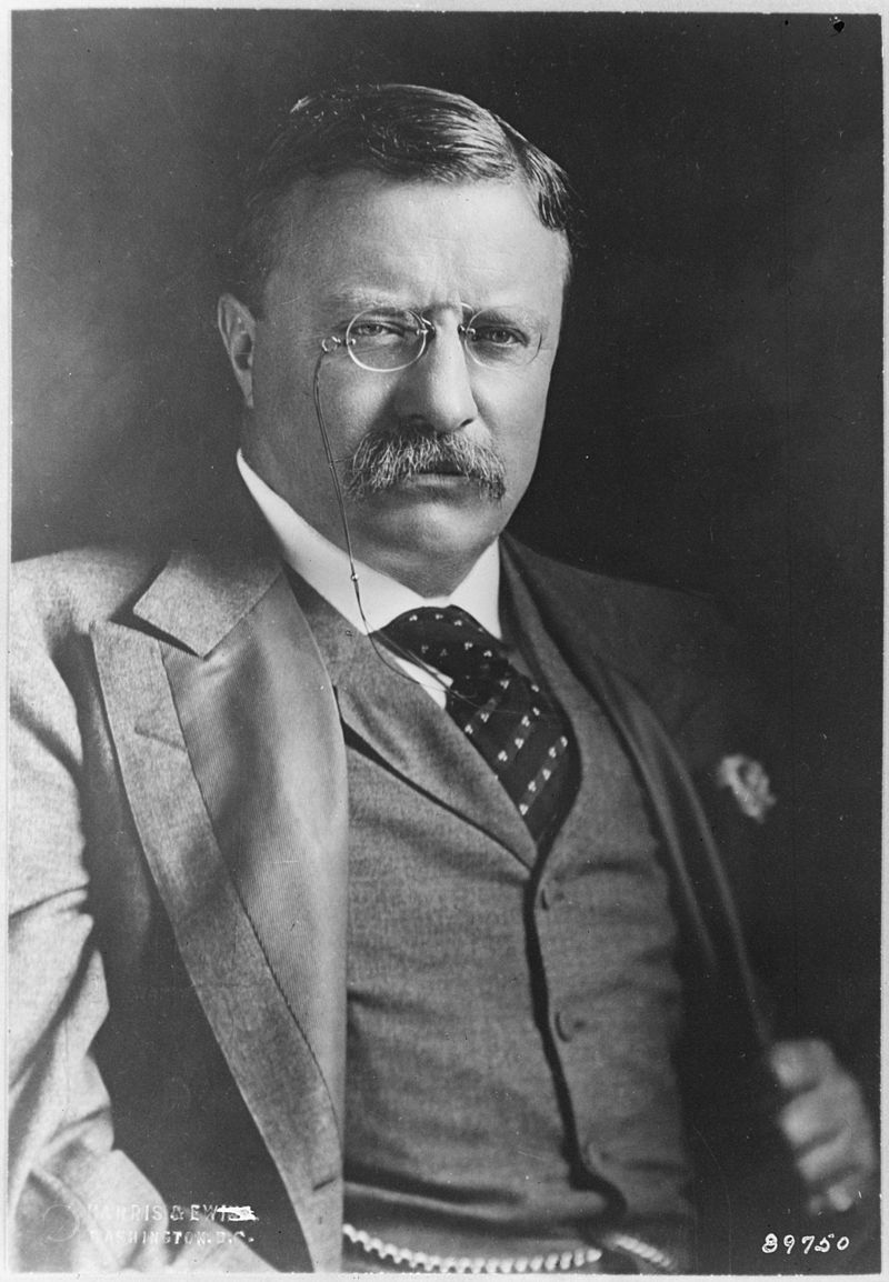 Theodore Roosevelt, 1908 (Internet Archive)