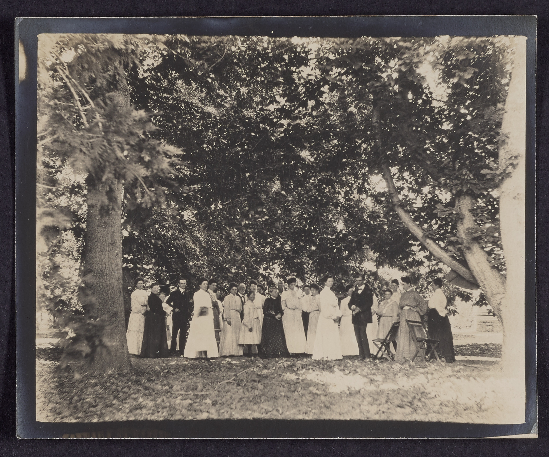 People under the trees at a Hawley family picnic, 1906 (Internet Archive)