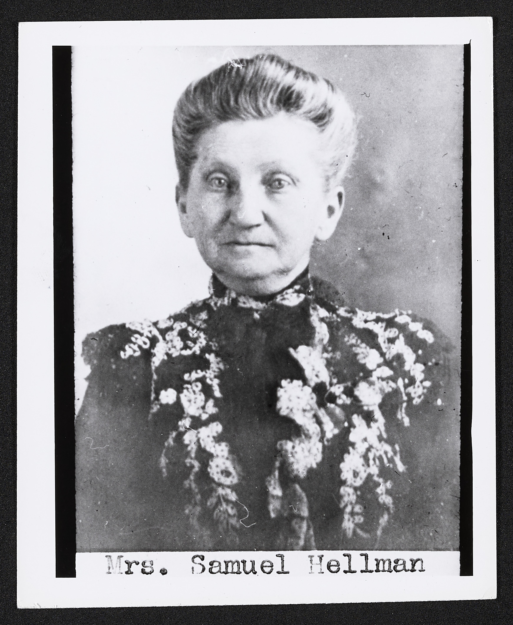 Portrait, Mrs. Samuel Hellman, circa 1890 - 1900, 1895 (Internet Archive)