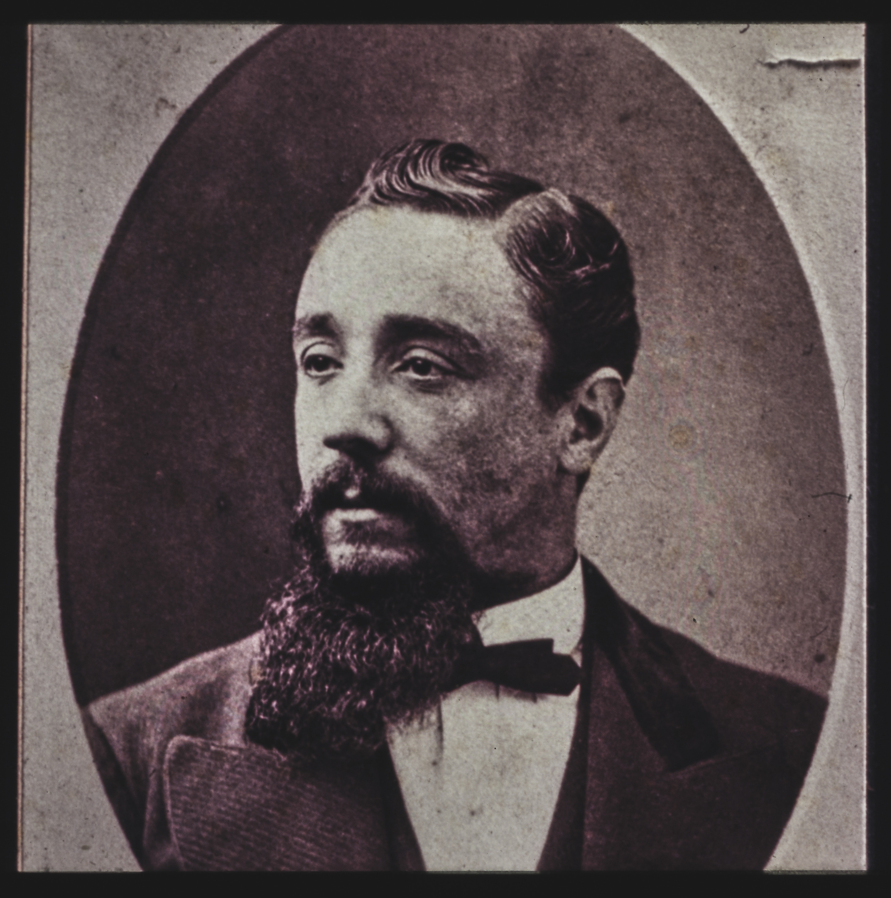 Portrait, Young Man with beard, 1900 (Internet Archive)