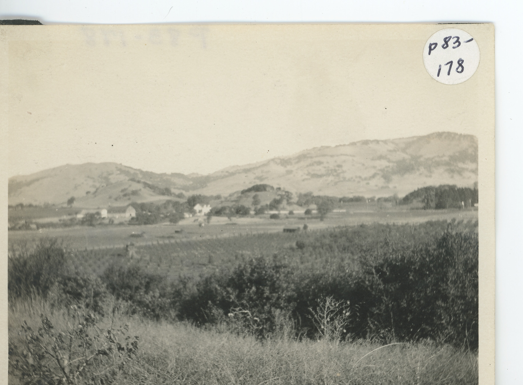 Agriculture: Ranches, Trumbull, Buildings and Farmland, 1930/1940, 1930 (Internet Archive)