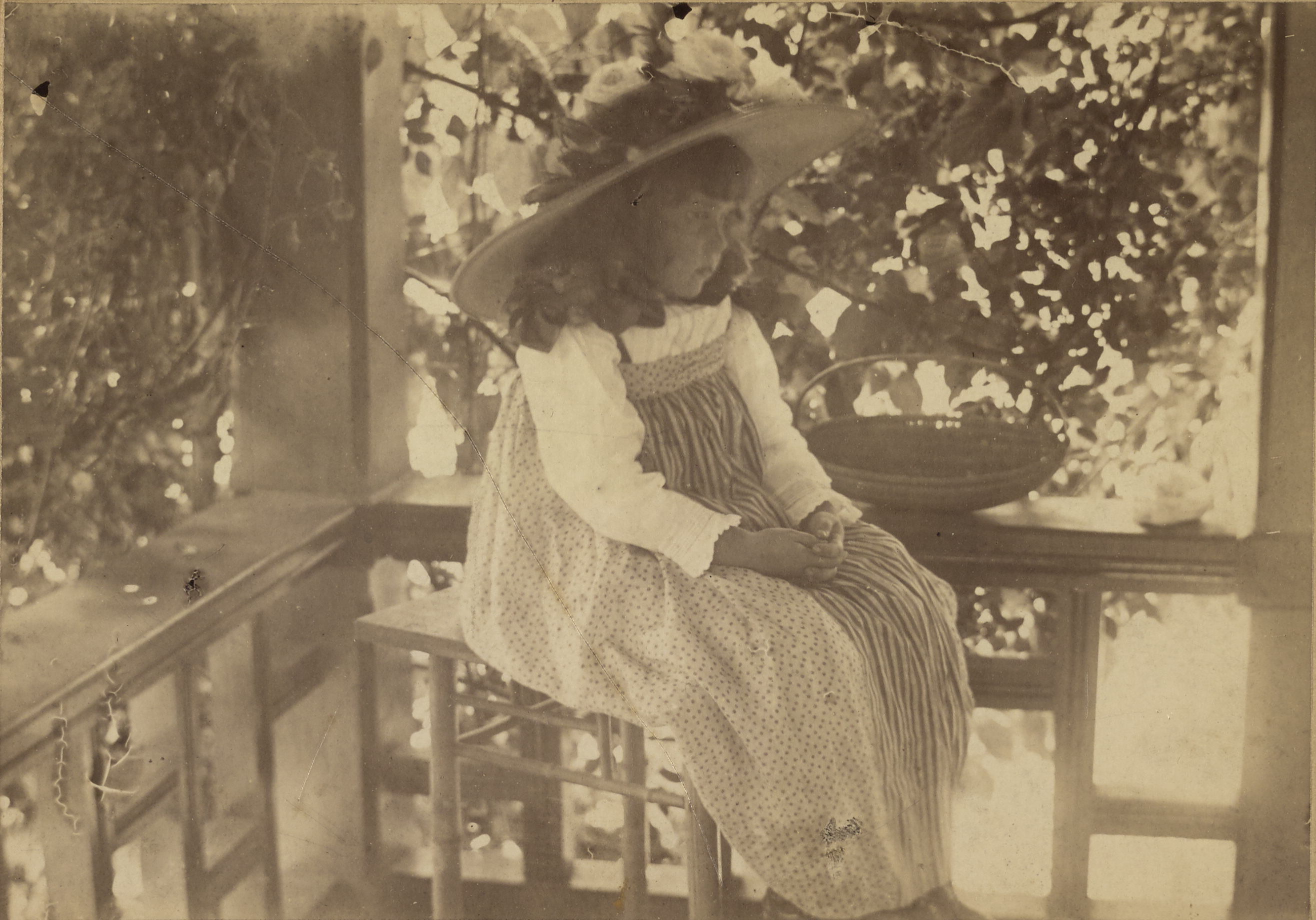 Portrait of Viola Baldocchi, 1891 (Internet Archive)