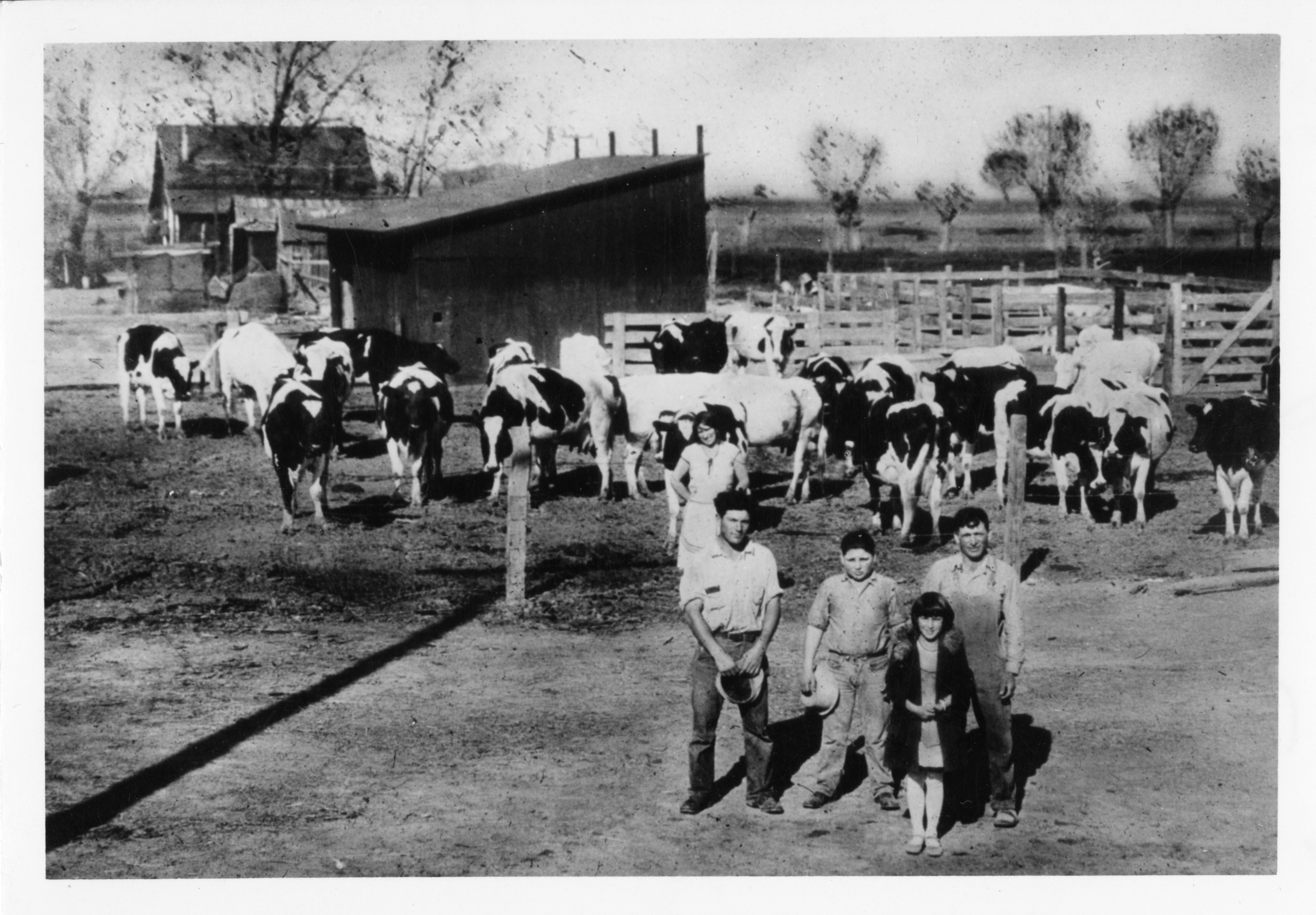 Joe Souza Dairy, West of Porterville, California, 1910, 1910 (Internet Archive)