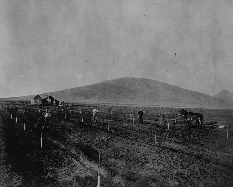 Family Farming, Tulare County, California, ca 1900, 1900 (Internet Archive)
