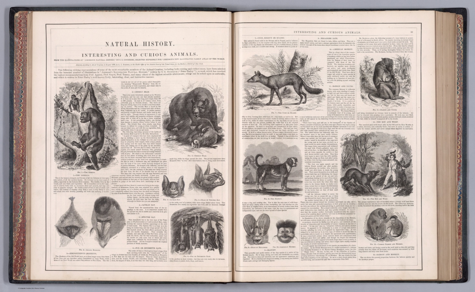 (Text Page to) Natural history. Interesting and curious animals. From the illustrations of "Johnson's natural history," by S. G. Goodrigh. (to accompany) Johnson's New Illustrated Family Atlas Of The, 1880 (Internet Archive)
