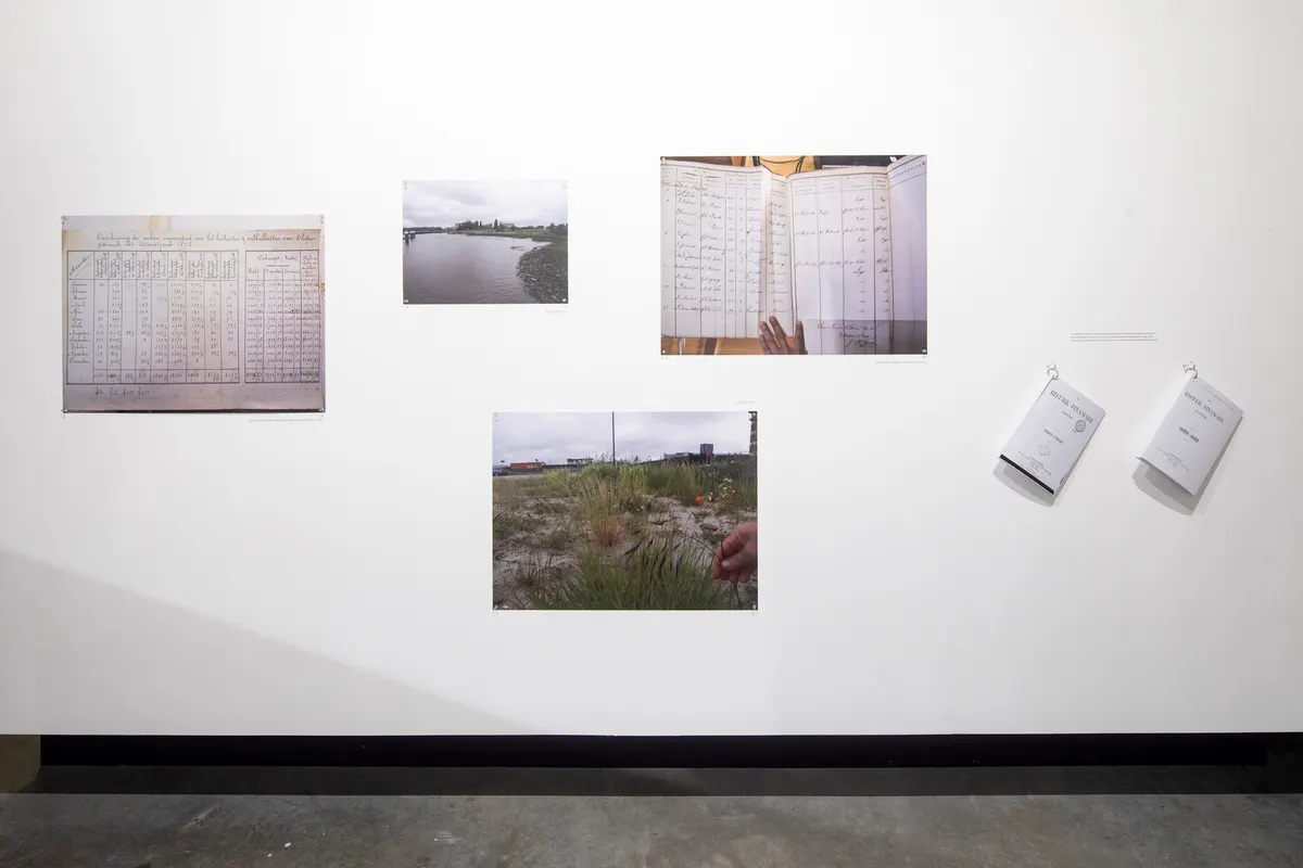 Maria Thereza Alves — Courtesy the artist