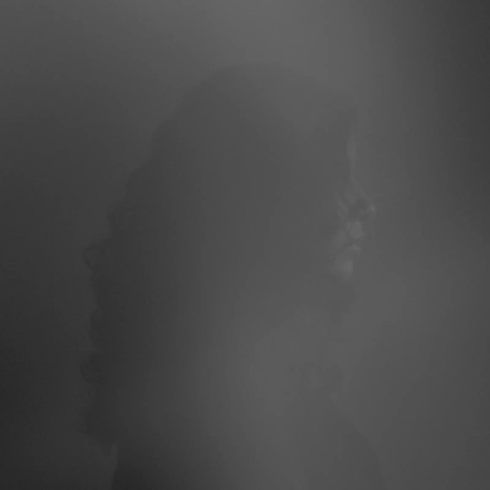 Sumi Anjuman — Self-portrait, courtesy the artist