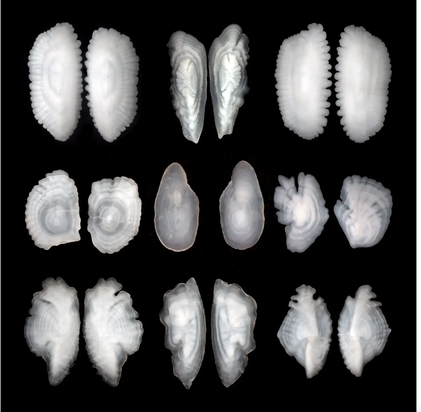 The Otolith Group — Courtesy The Otolith Group / otolithgroup.org