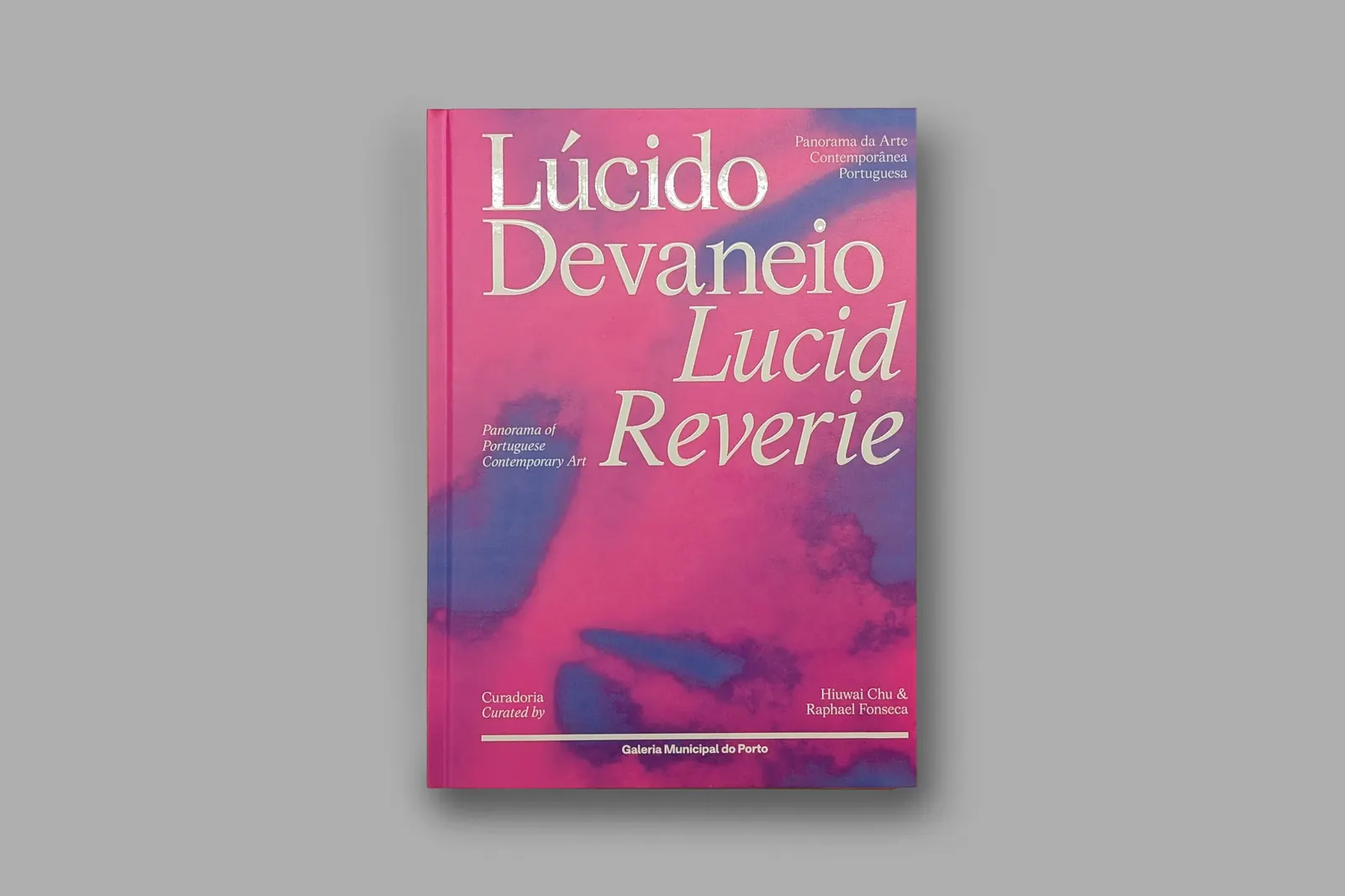 Lúcido Devaneio: Panorama of Portuguese Contemporary Art