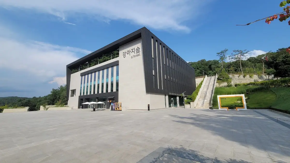 강아지숲 강원 춘천시 남산면 충효로 437