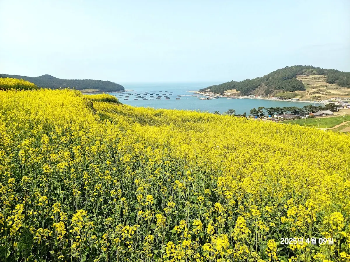 청산도 전라남도 완도군 청산면