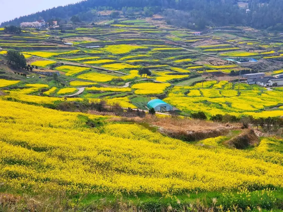 청산도 전라남도 완도군 청산면