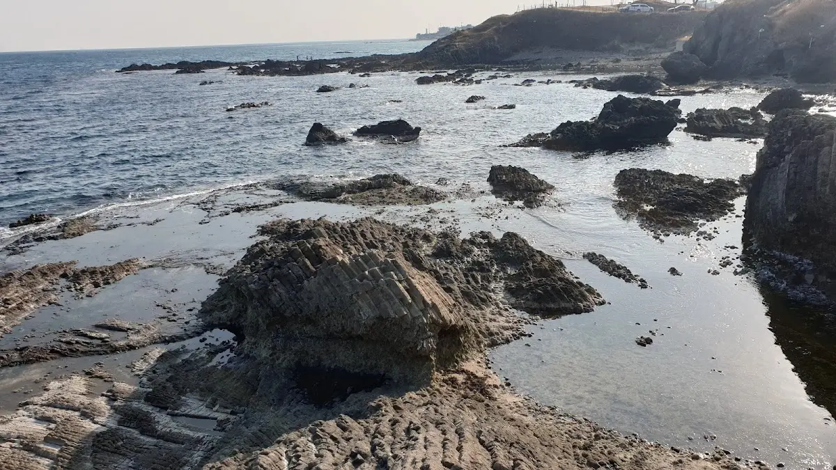 구룡포공원 경북 포항시 남구 구룡포읍 구룡포리