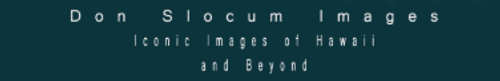 profileImg