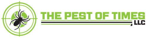 profileImg