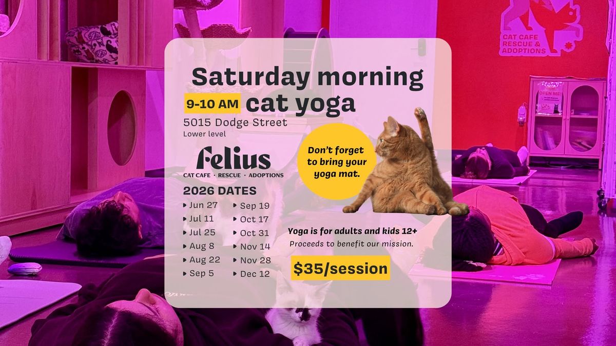 Saturday Morning Cat Yoga at Felius Cat Cafe