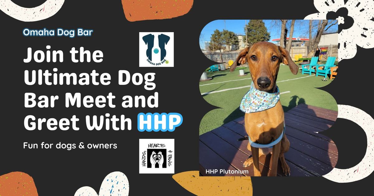 Adoptable Dog Meet & Greet at Omaha Dog Bar