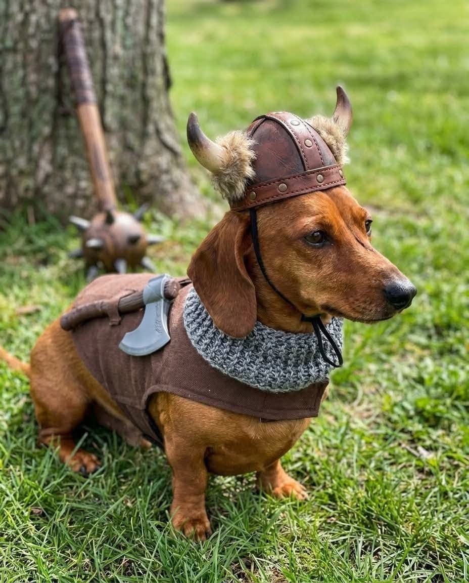 Halloweener Fest 2026: Wiener Dog Costume Parade, Tattoos & Live Wrestling
