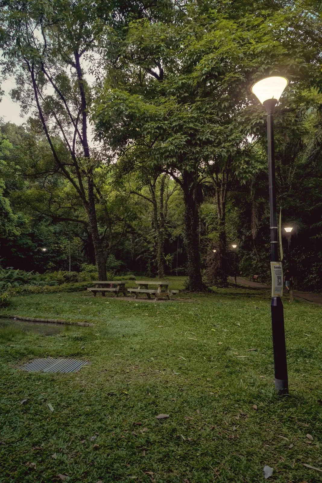A lit lamppost beside picnic tables in a green park at dusk