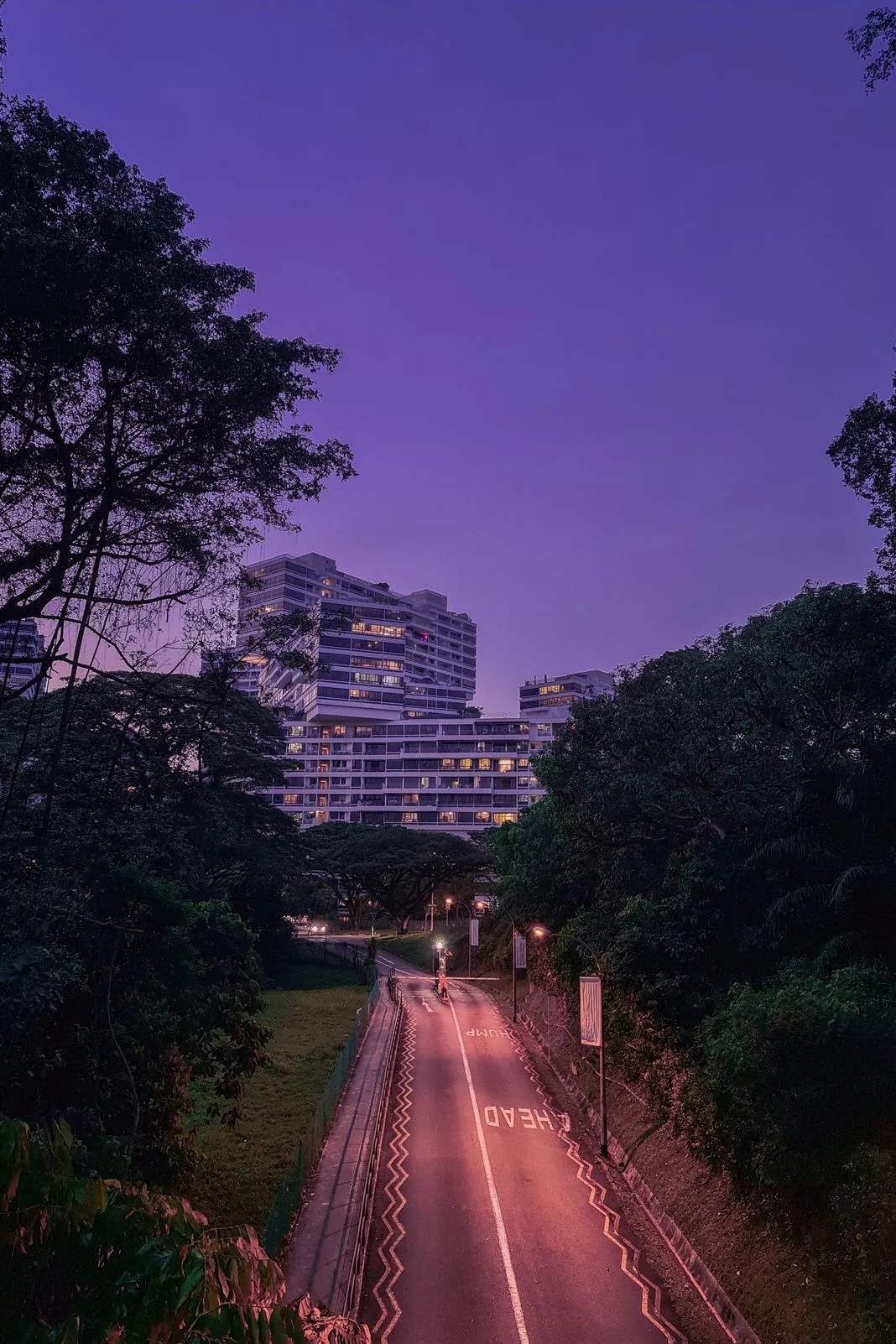 A tree-lined road descending toward a lit apartment block at dusk