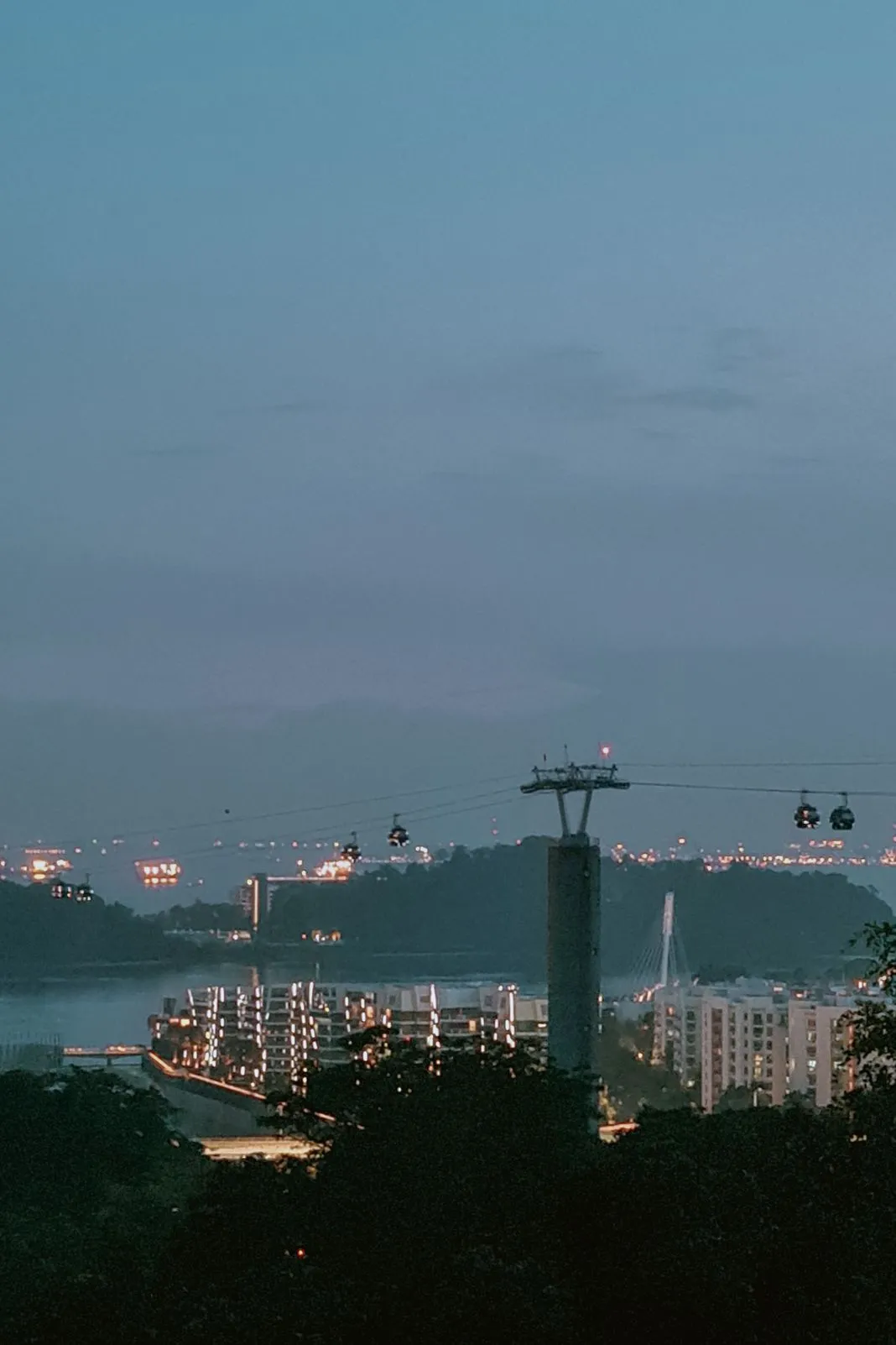 Cable car gondolas crossing above a lit waterfront skyline at dusk
