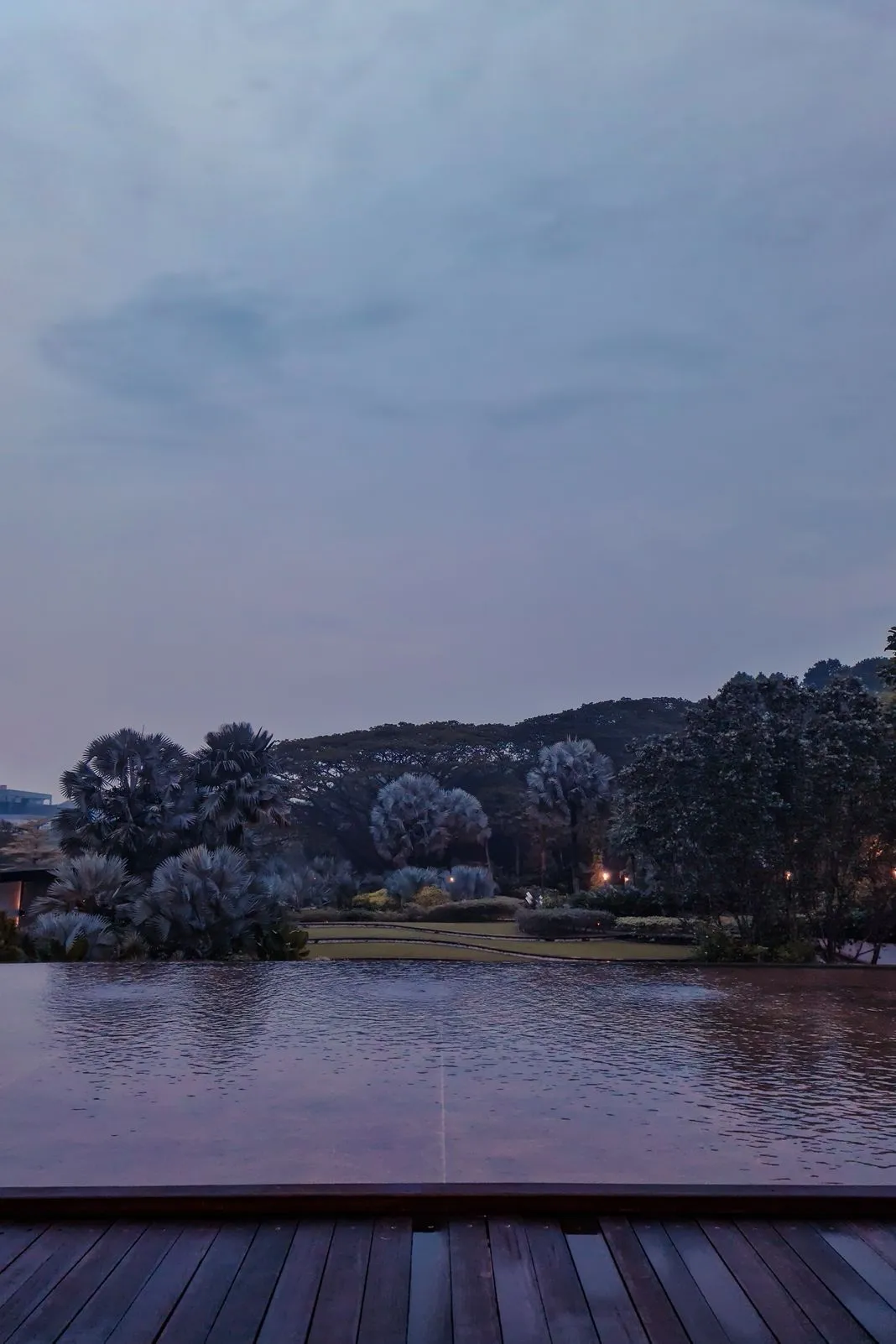An infinity pool overlooking palm trees and hills at dusk