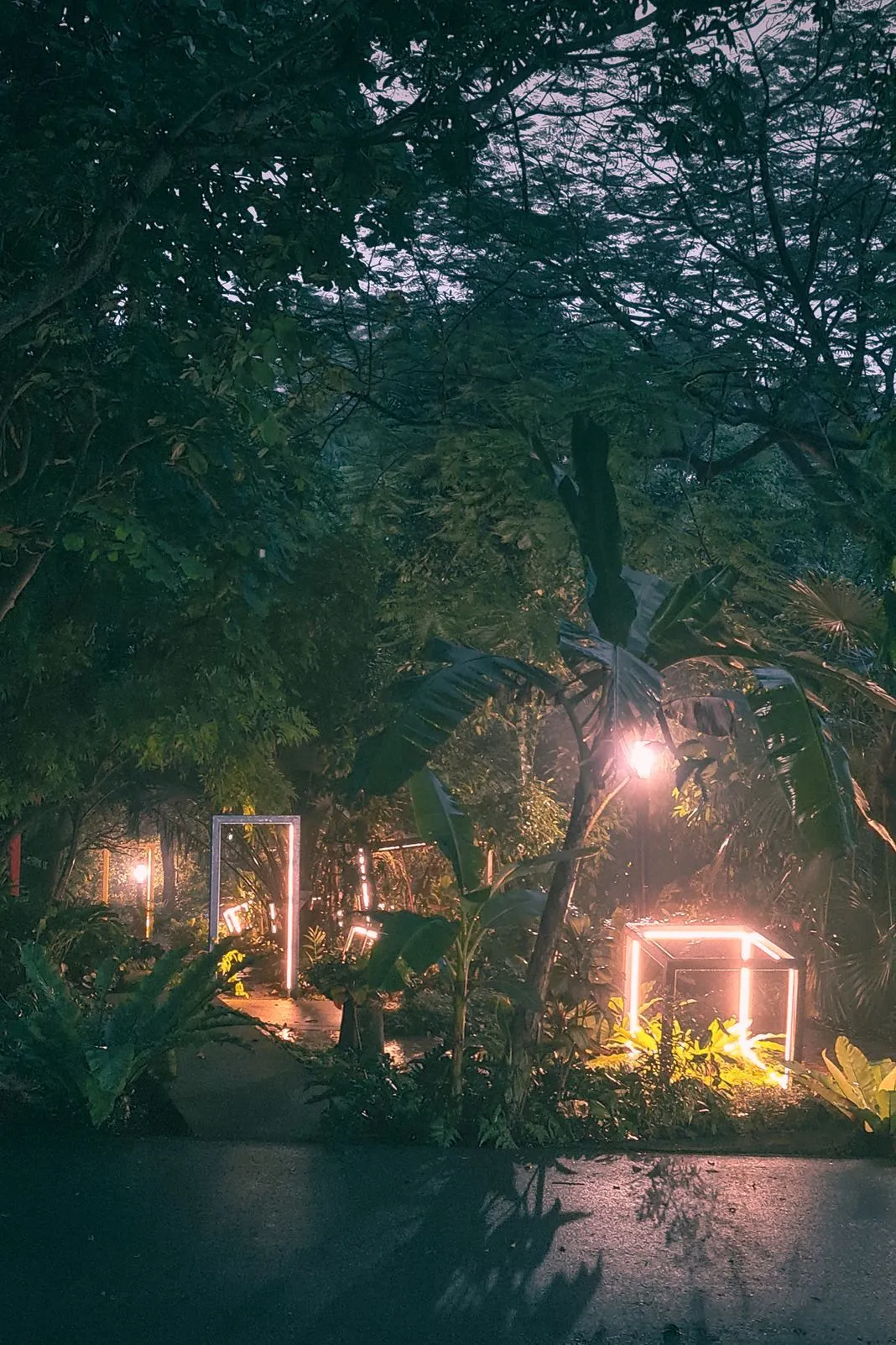 Glowing geometric light installations nestled in a tropical garden at night