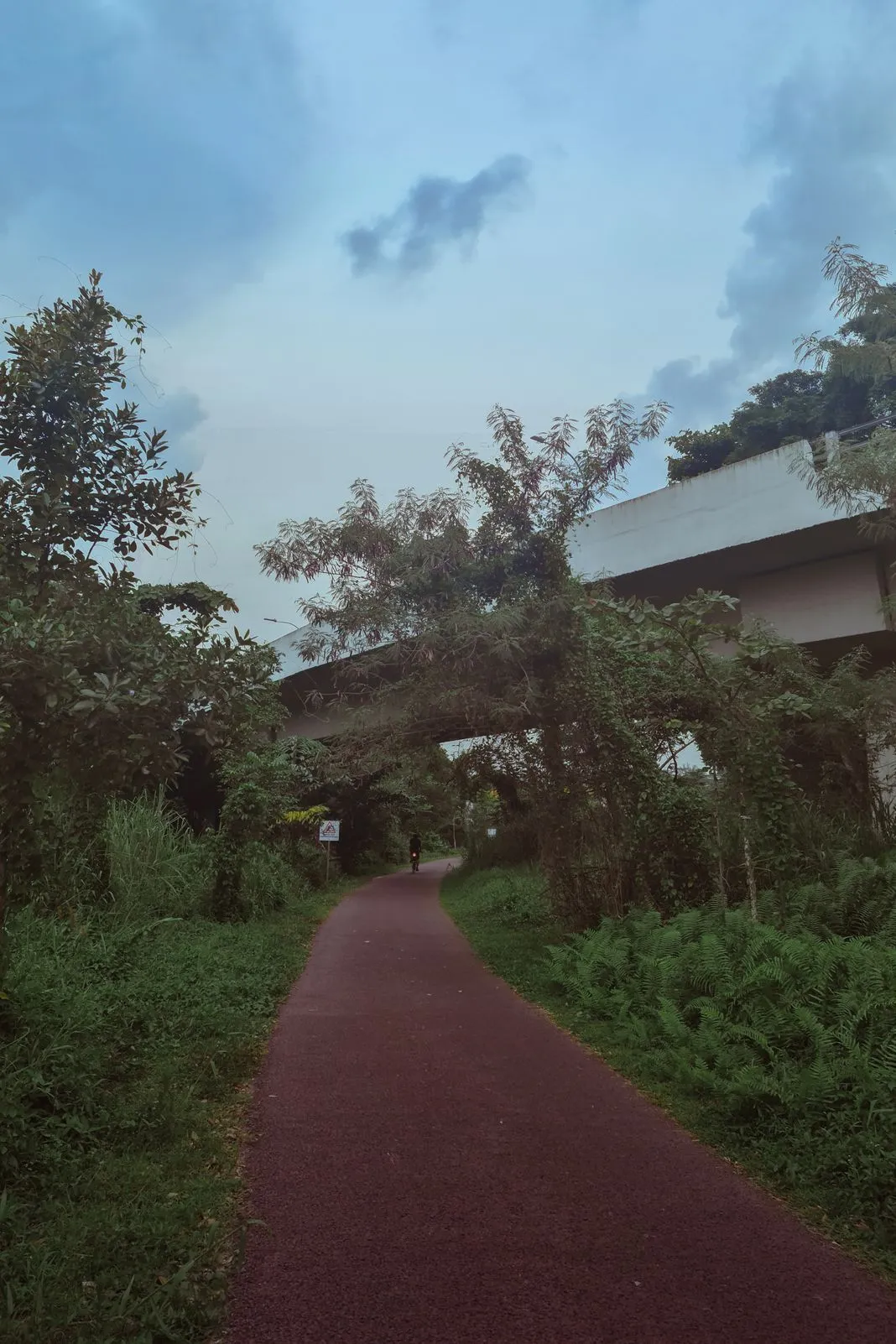 A cyclist riding a red path beneath an overpass surrounded by greenery