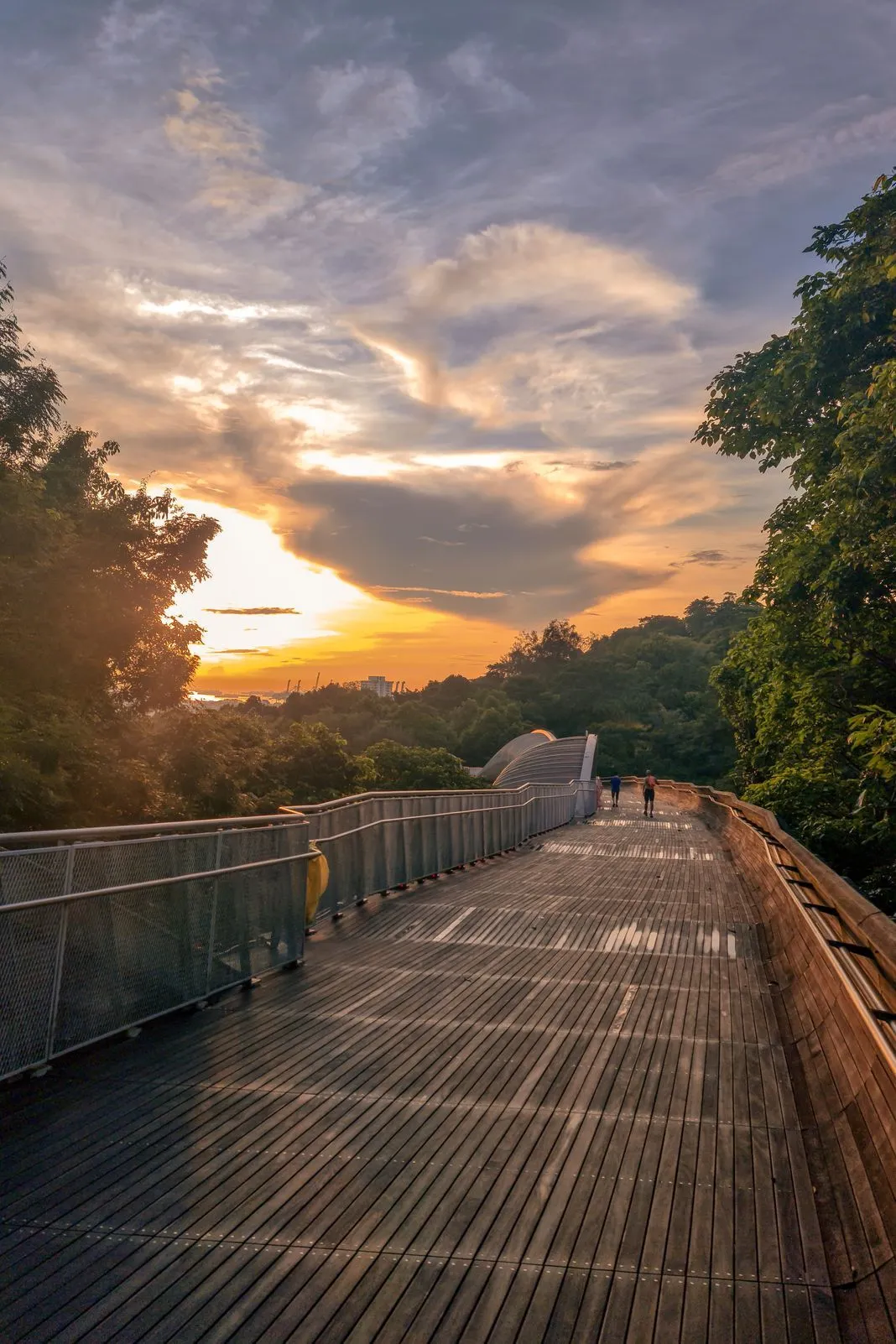 People walking a wooden boardwalk bridge through treetops at sunset