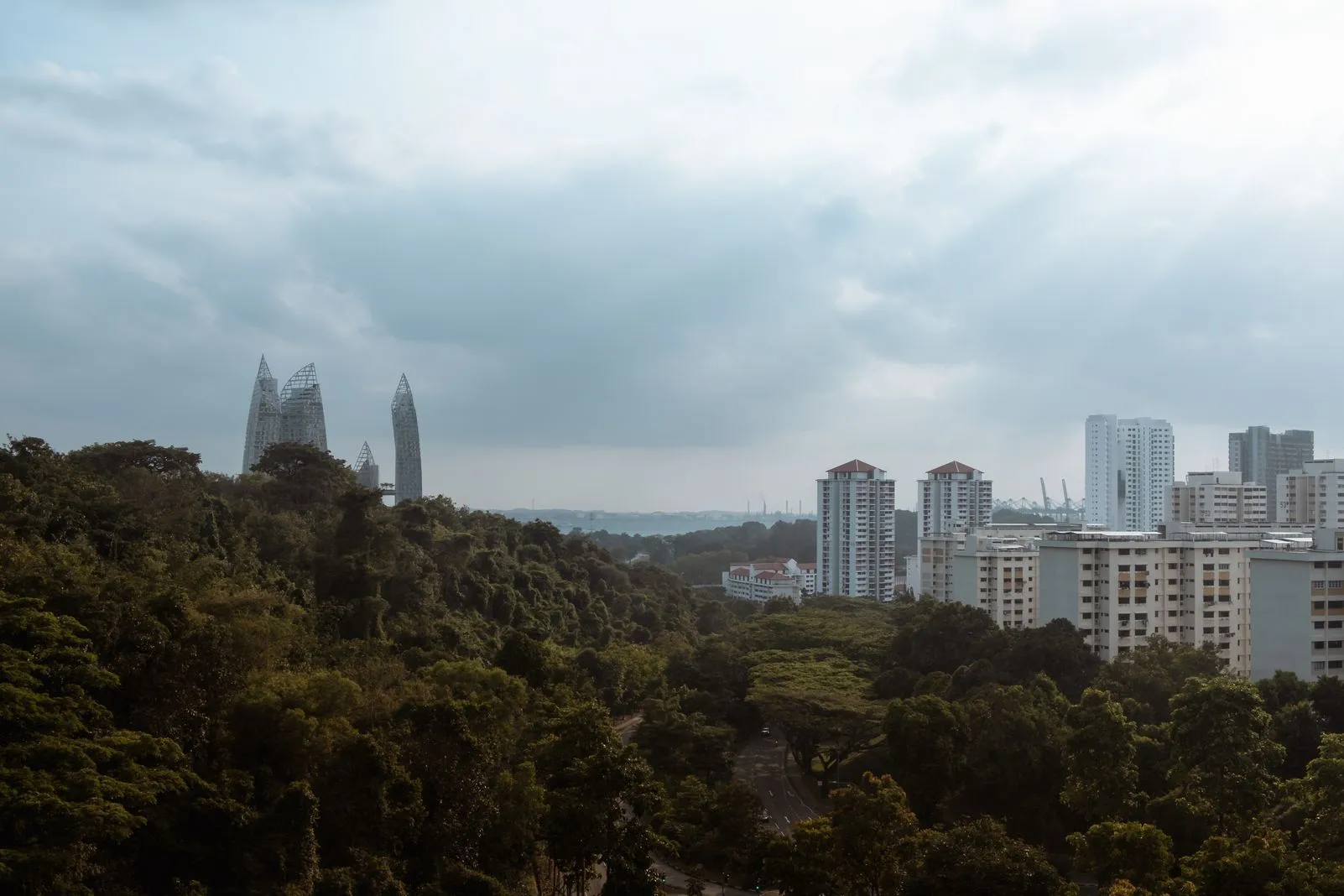Angular glass skyscrapers rising above dense trees and apartment blocks under overcast sky