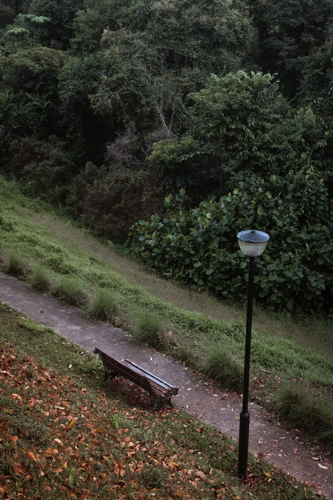 An empty park bench and lamppost beside a hedge scattered with dry leaves