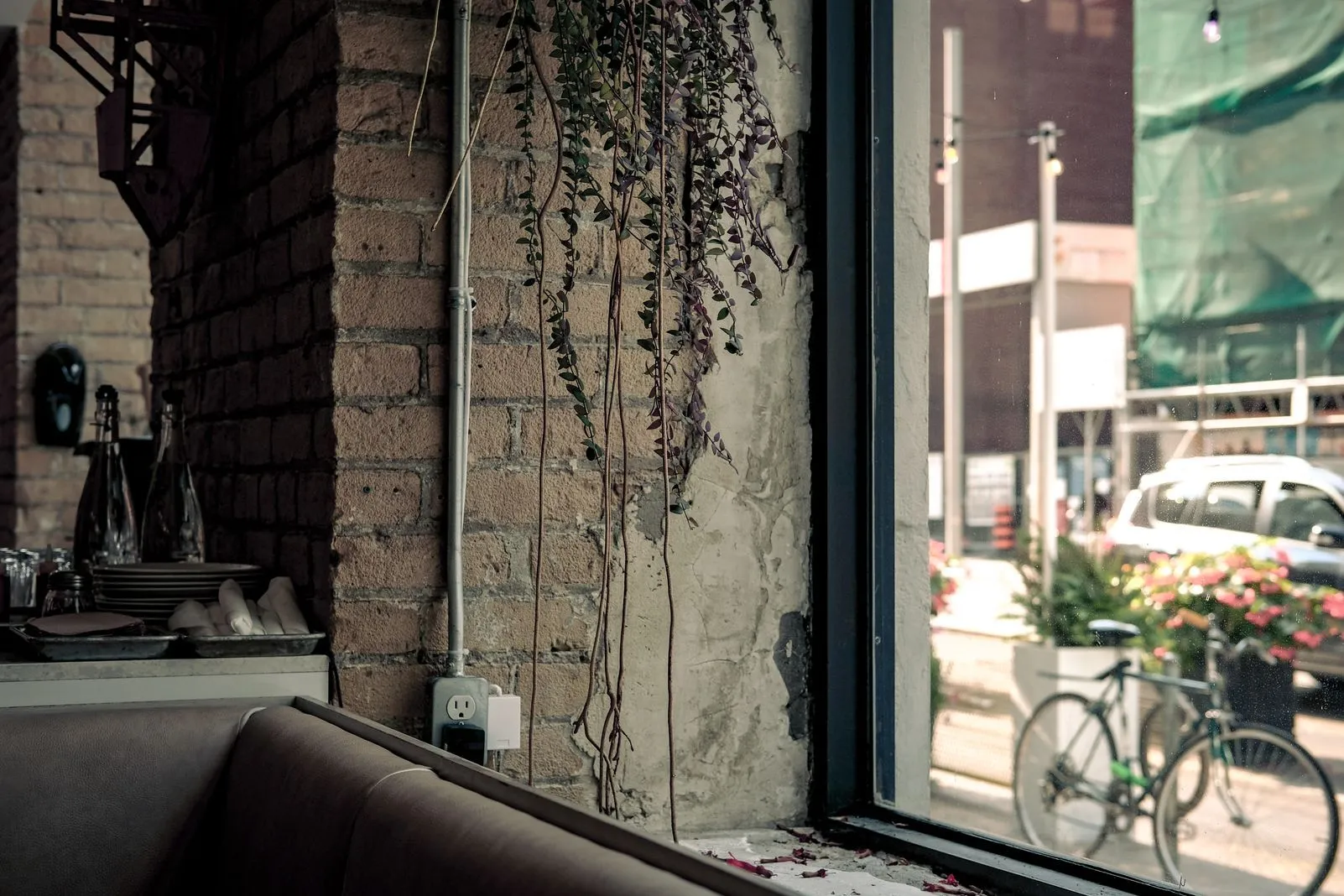 Restaurant window nook with brick wall, trailing plant, and a bicycle parked outside