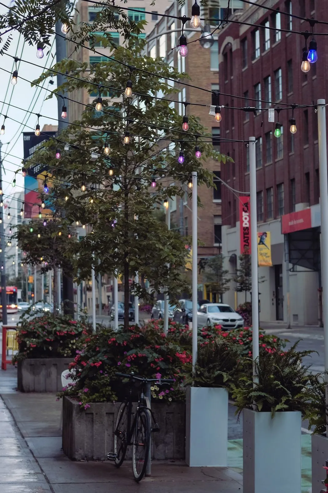 String lights woven through a street tree along a city sidewalk at dusk