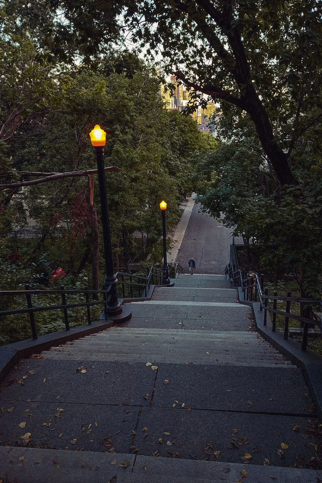 Lamplit stone staircase descending through trees toward a lit skyline at dusk