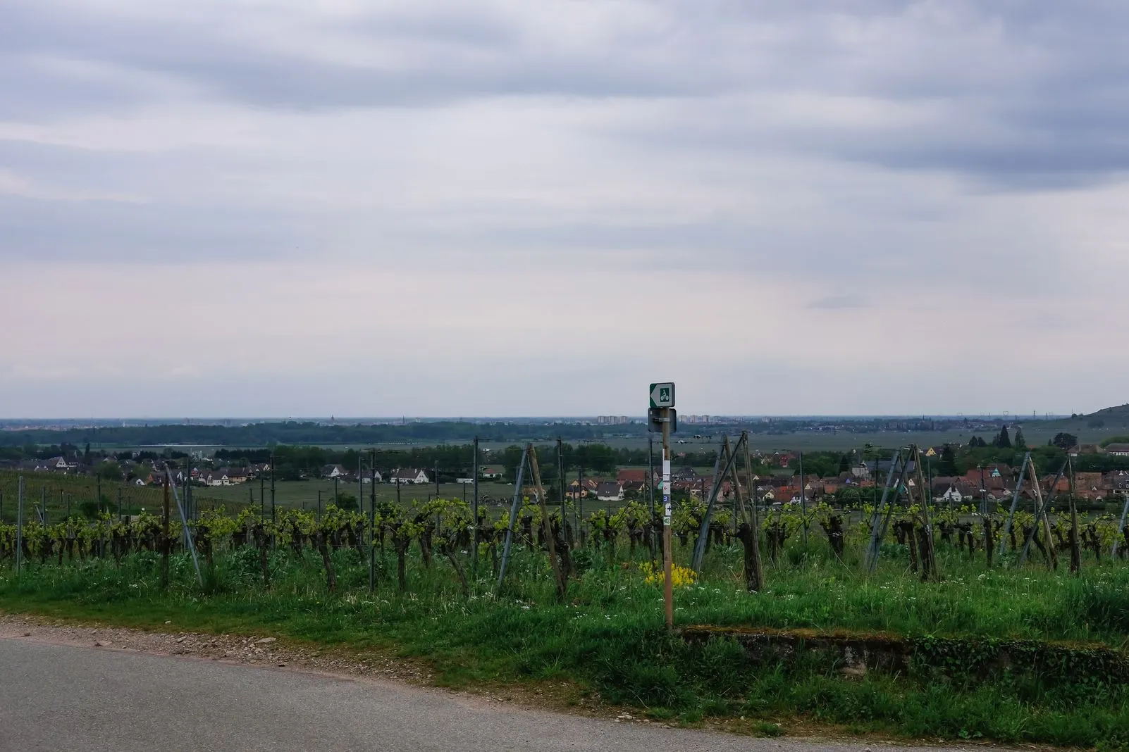 View from a hillside vineyard over a village and the plain beyond