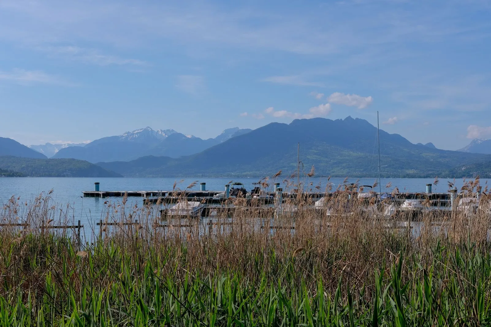 Reeds frame a view of docked boats on Lake Annecy with mountains beyond